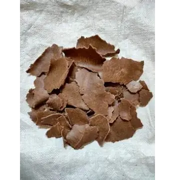 Fresh Sky Fruit Seeds